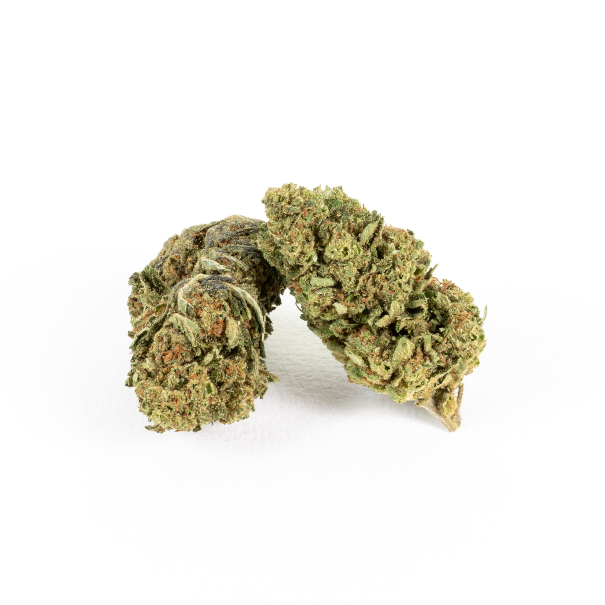 Tropicana banana
