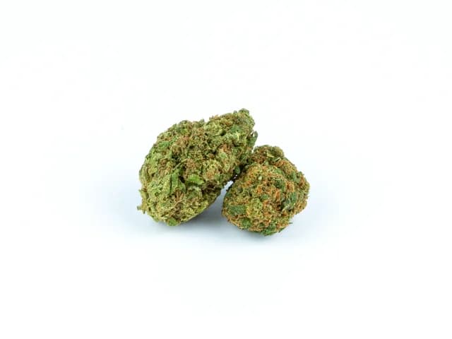 Banana berry small bud 10gr
