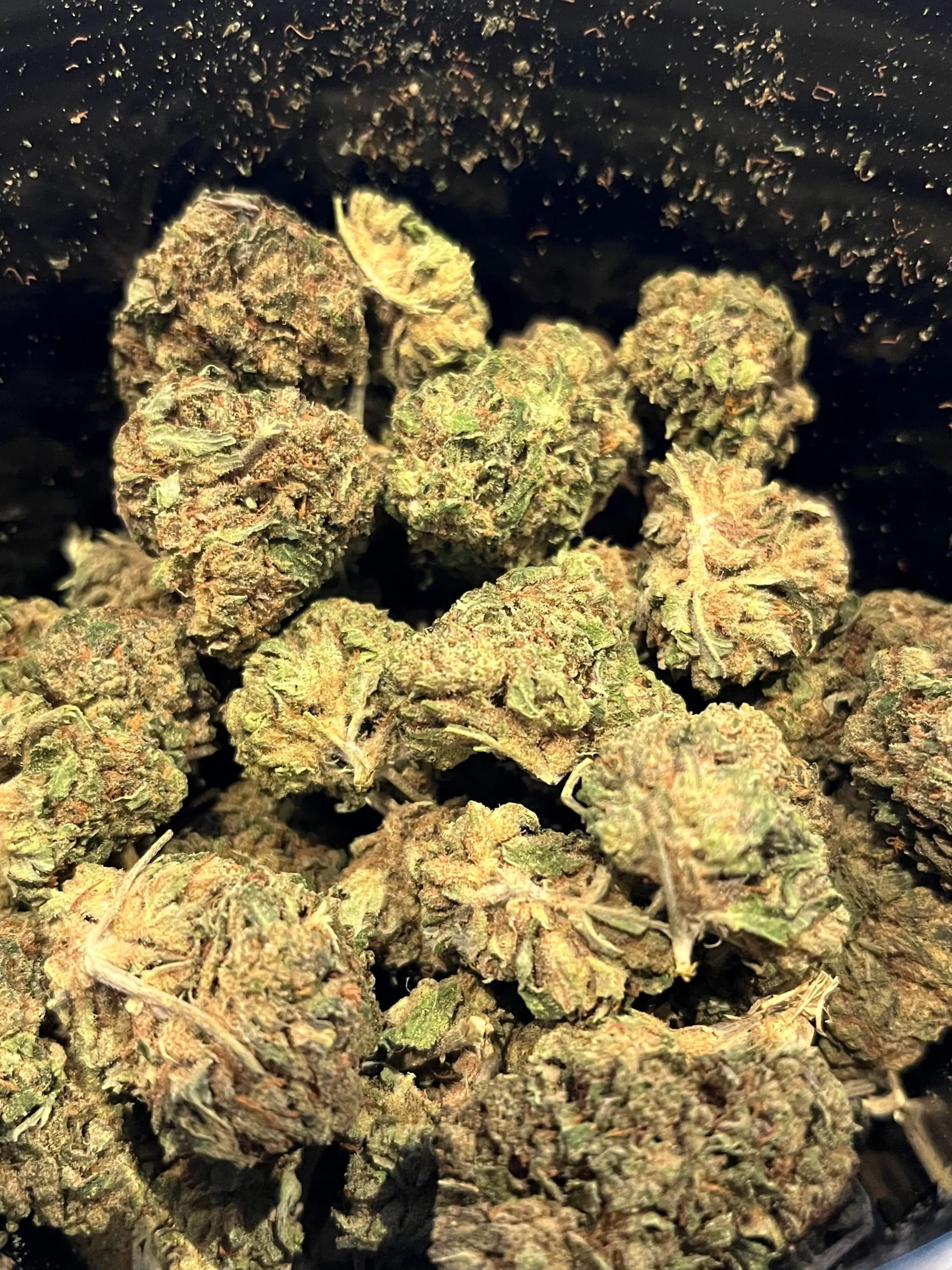 White Cali CBD Greenhouse 10gr