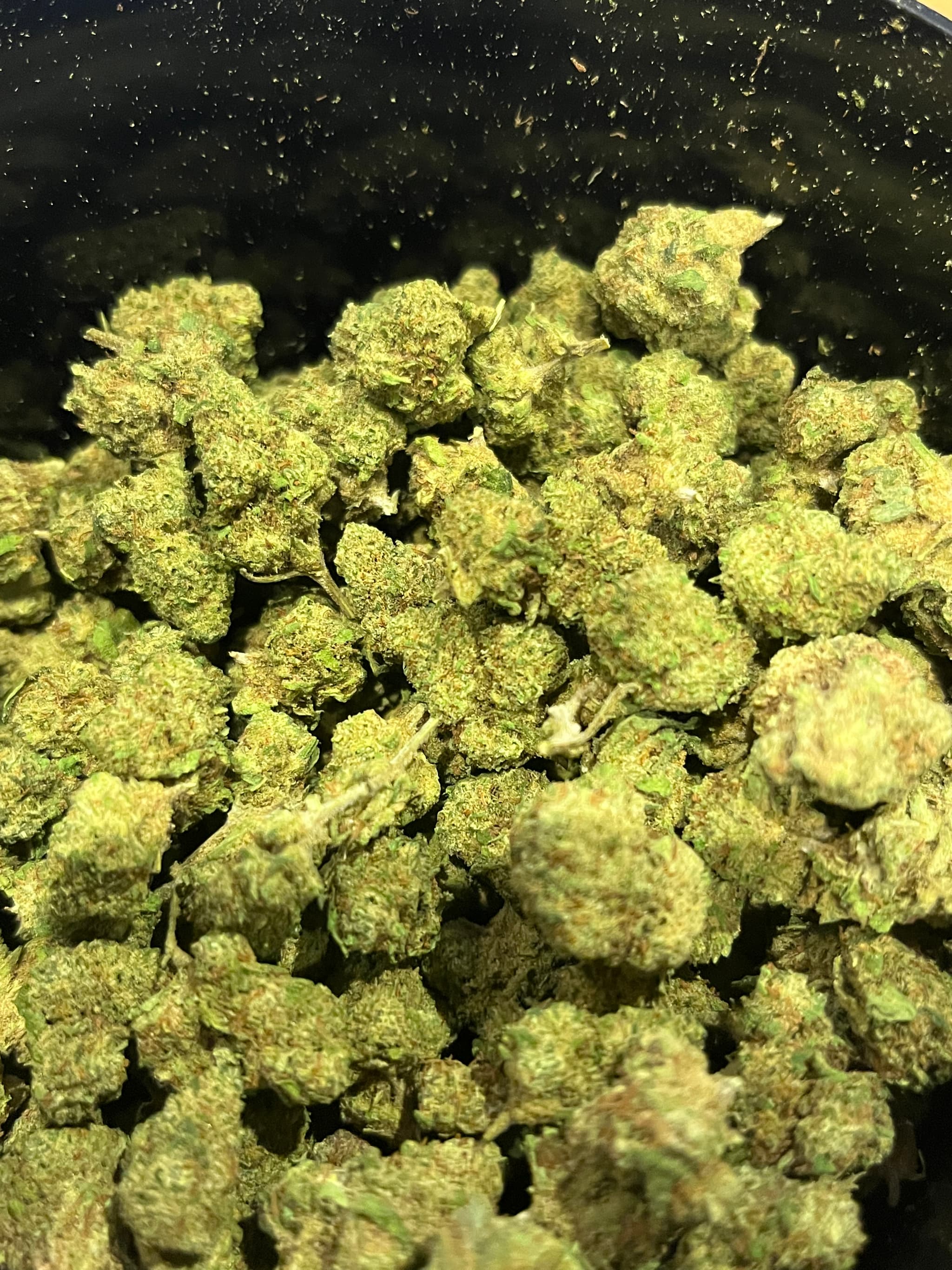 California Mini Bud CBD Indoor 10g