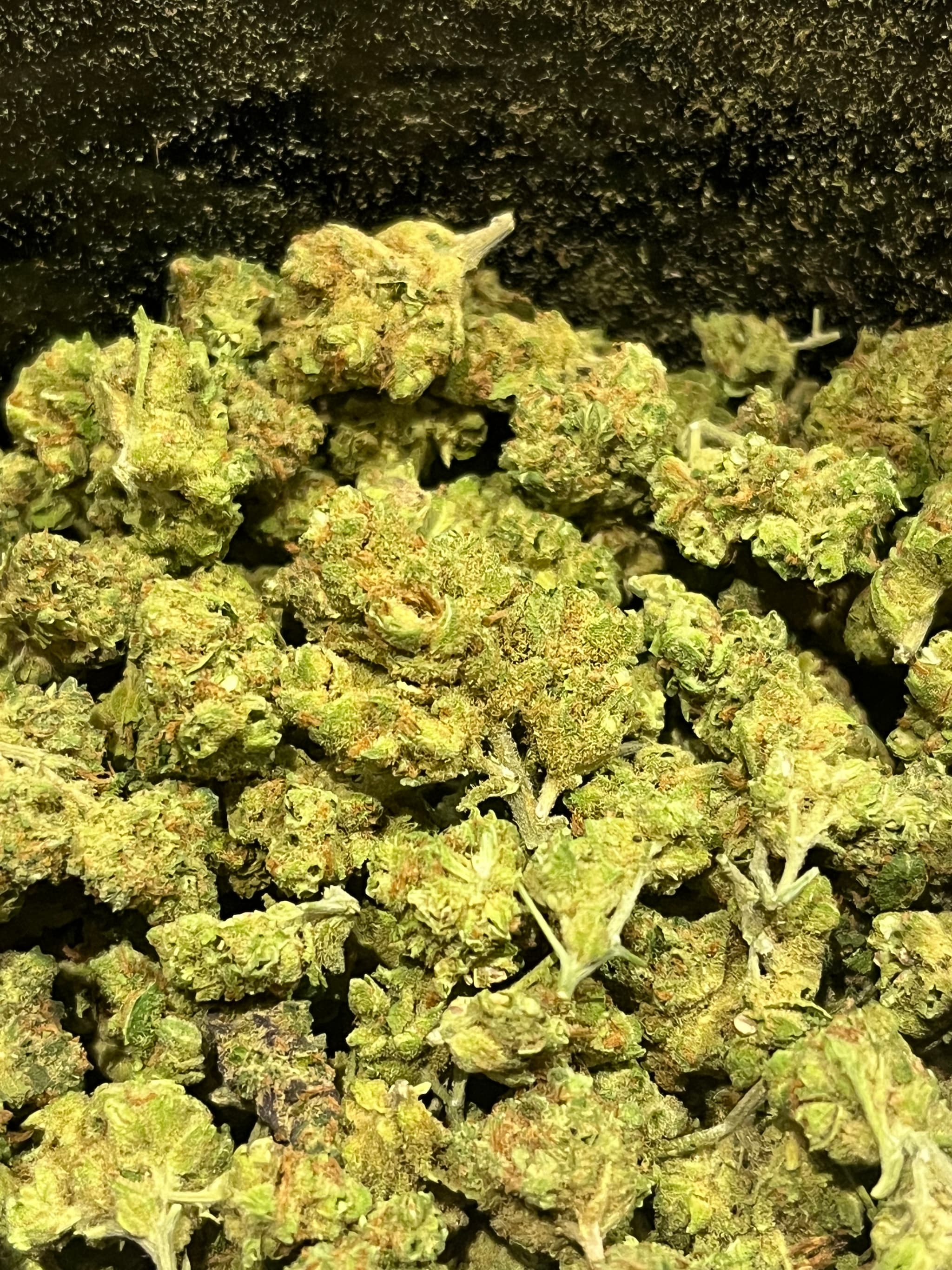 Amnesia CBD Medium Bud Indoor 10gr