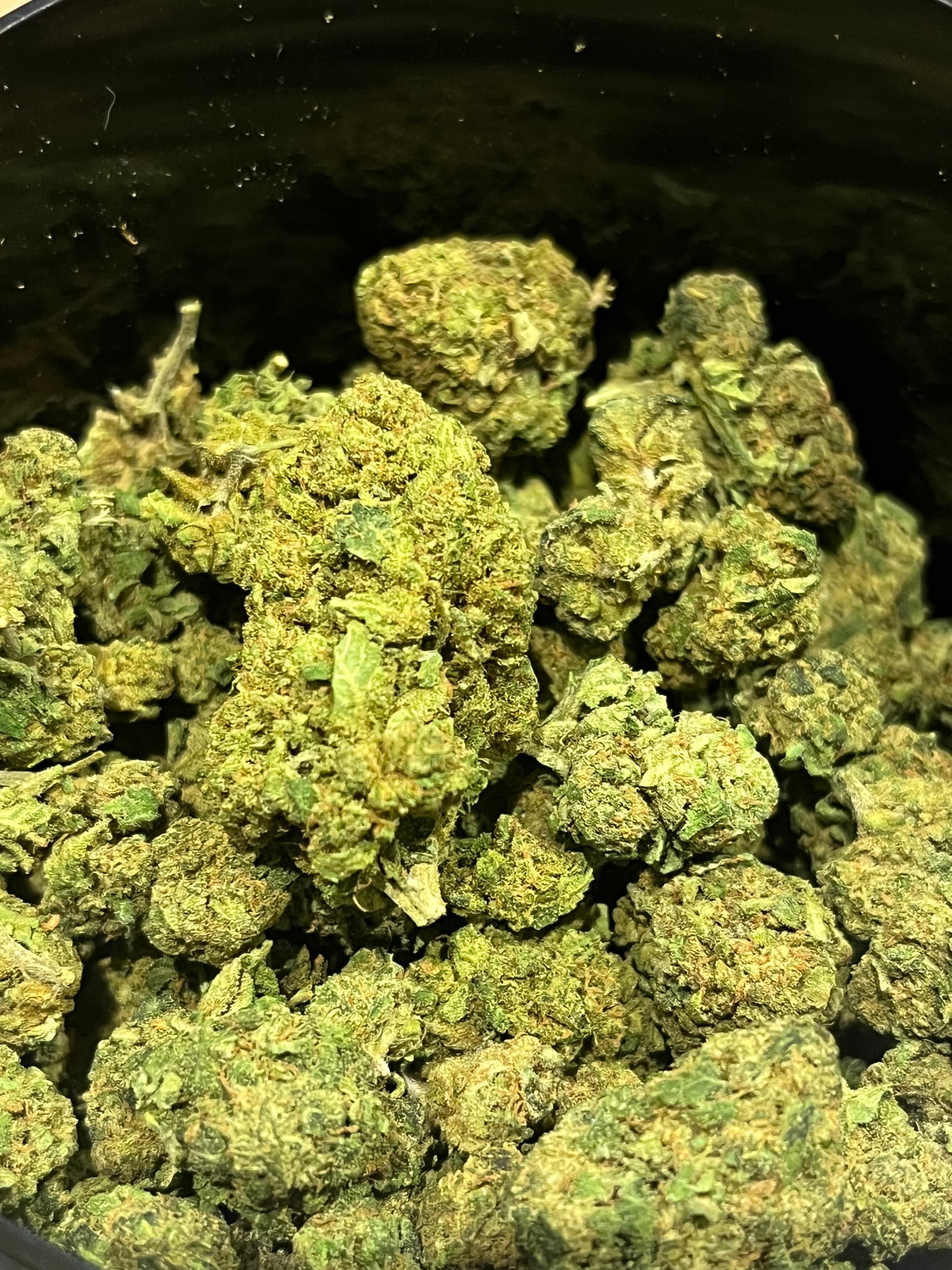 Tropical Haze CBD Greenhouse PROMO 