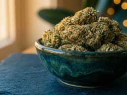 Fleurs CBD