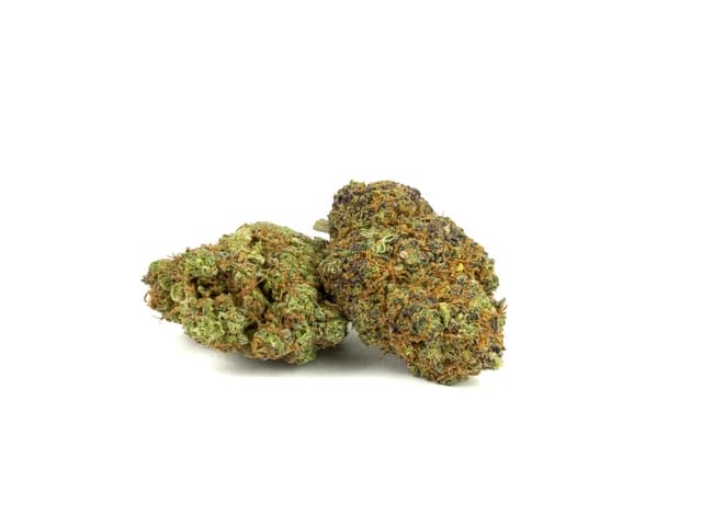 Exodus cheese