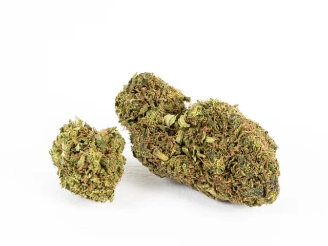 Apple fritter