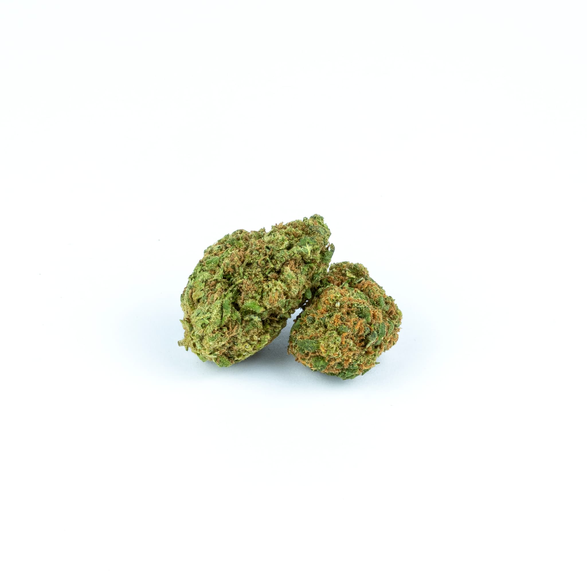 Banana berry small bud 10gr
