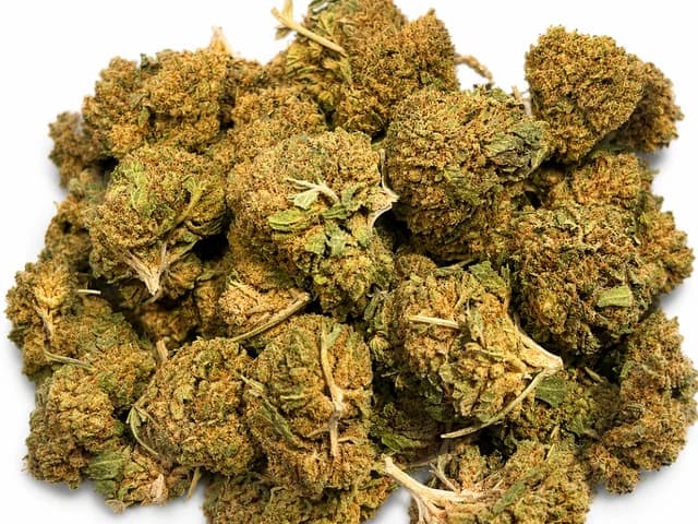 Bubbah Kush Greenhousse 10gr Promo
