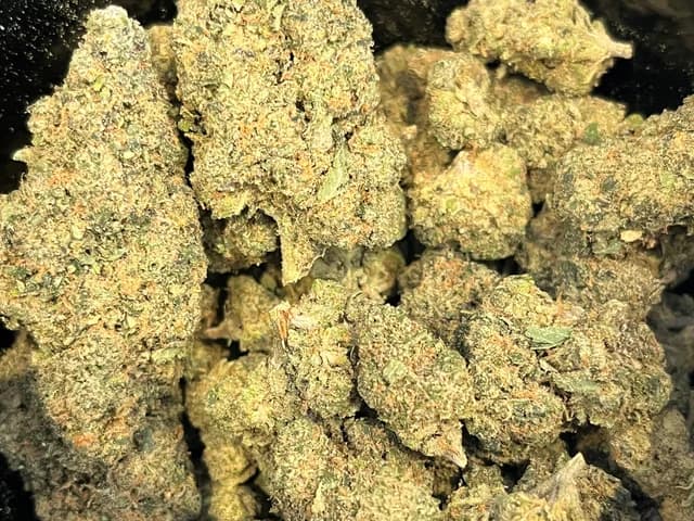 Toad venom CBD Indoor premuim