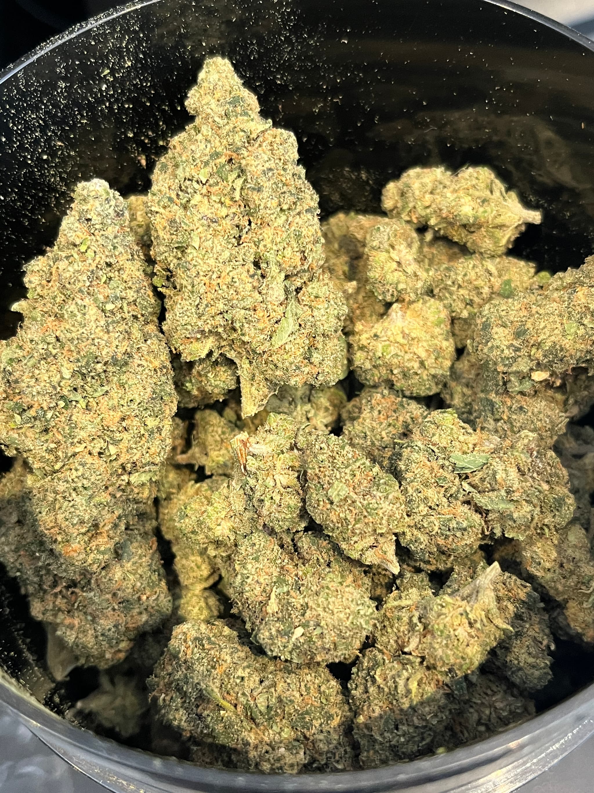 Toad venom CBD Indoor premuim
