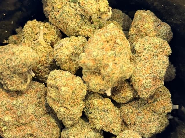 GP4 Indoor CBD