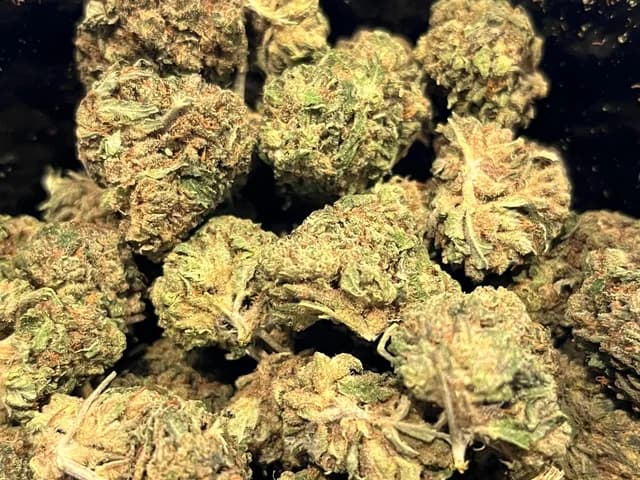 White Cali CBD Greenhouse 10gr