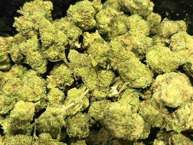California Mini Bud CBD Indoor 10g