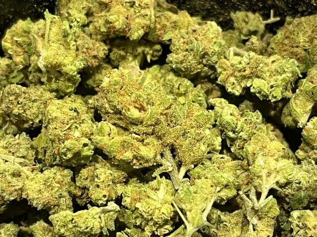 Amnesia CBD Medium Bud Indoor 10gr