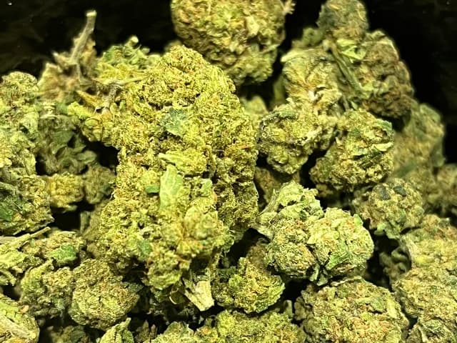Tropical Haze CBD Greenhouse PROMO