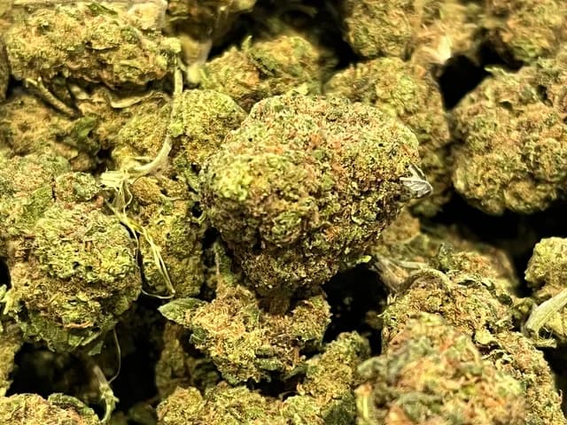 Orange bud greenhouse CBD