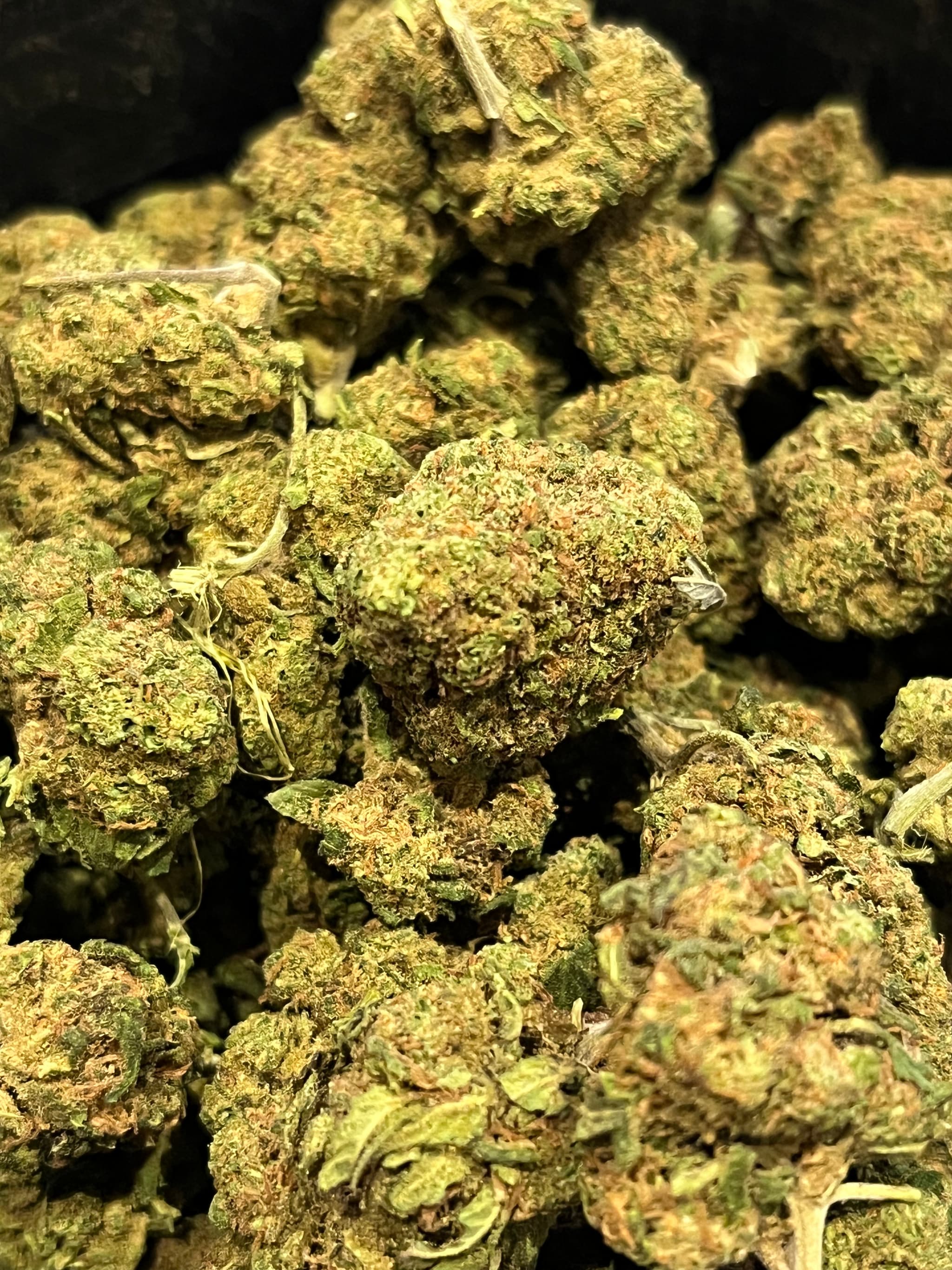 Orange bud greenhouse CBD