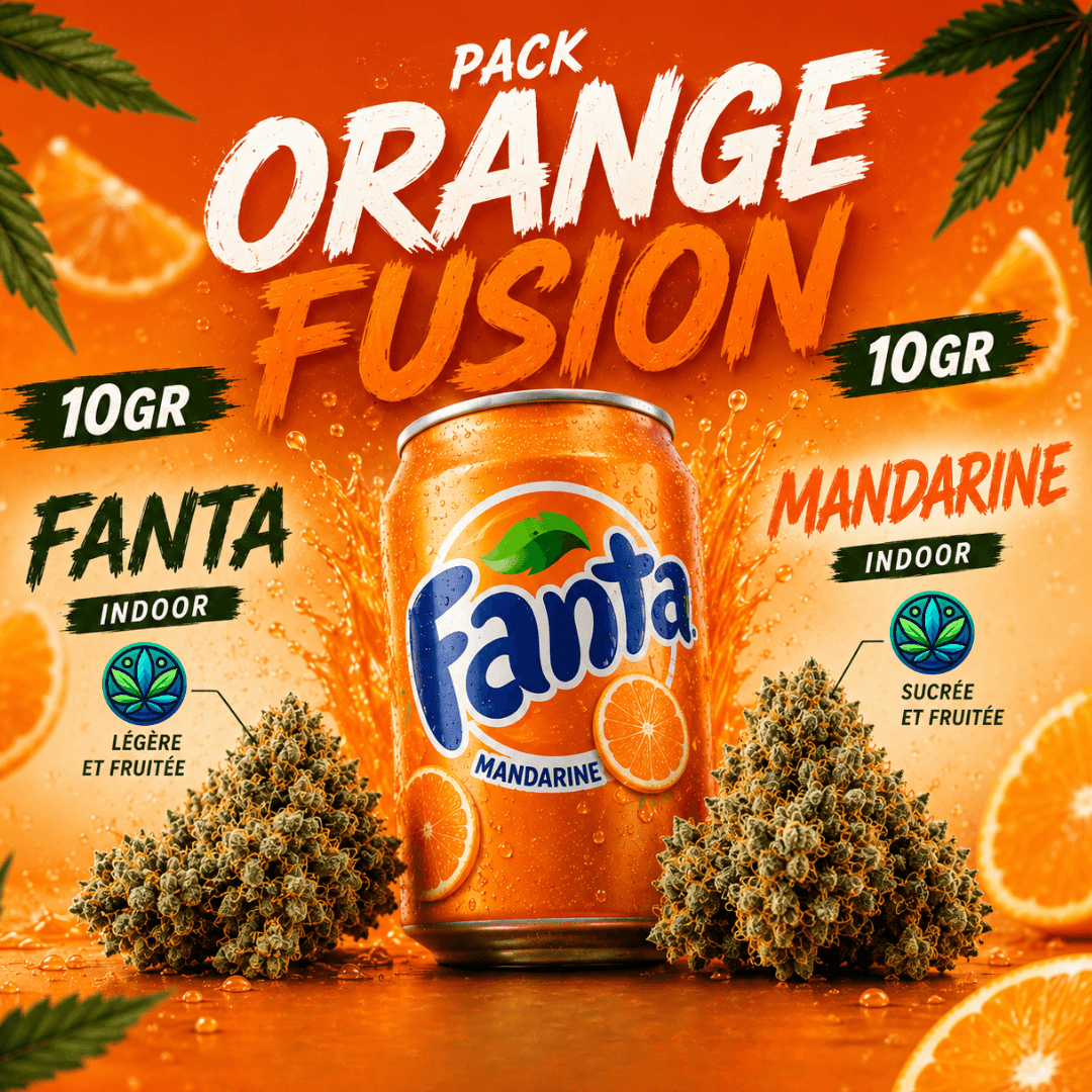 Pack Orange fusion
