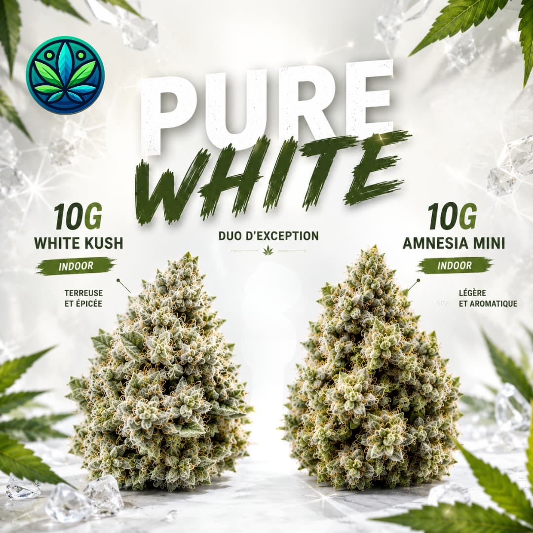 Pack Pure white
